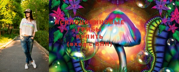 дмт Алзамай