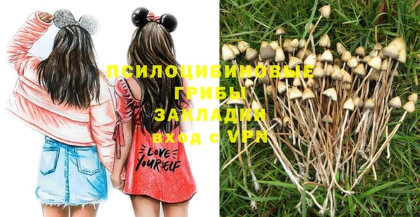 мяу мяу мука Алексин