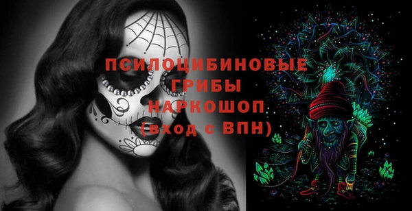 дмт Алзамай